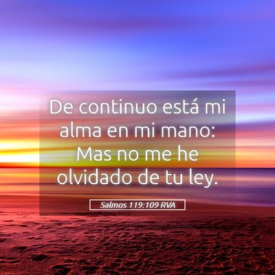 Picture 05 - Salmos 119:109 RVA - De continuo está mi alma en mi mano: Mas no me - Bible Verse Picture