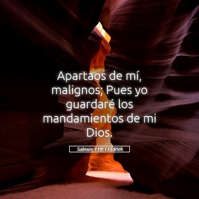 Picture 05 - Salmos 119:115 RVA - Apartaos de mí, malignos; Pues yo guardaré los - Bible Verse Picture