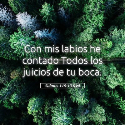 Picture 05 - Salmos 119:13 RVA - Con mis labios he contado Todos los juicios de tu - Bible Verse Picture