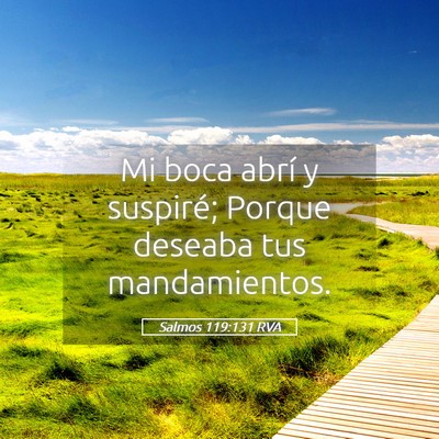 Picture 05 - Salmos 119:131 RVA - Mi boca abrí y suspiré; Porque deseaba tus - Bible Verse Picture
