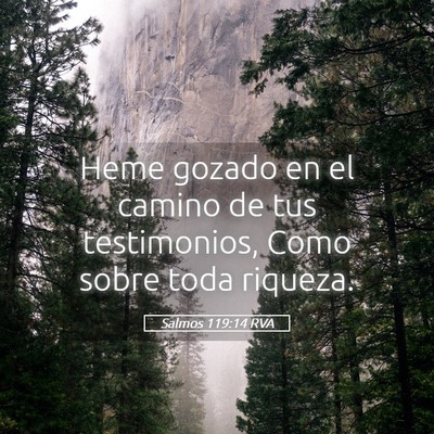 Picture 05 - Salmos 119:14 RVA - Heme gozado en el camino de tus testimonios, Como - Bible Verse Picture