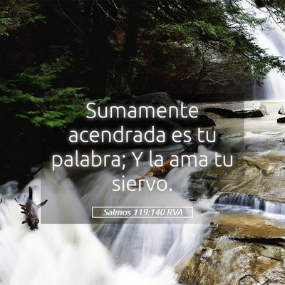 Picture 05 - Salmos 119:140 RVA - Sumamente acendrada es tu palabra; Y la ama tu - Bible Verse Picture