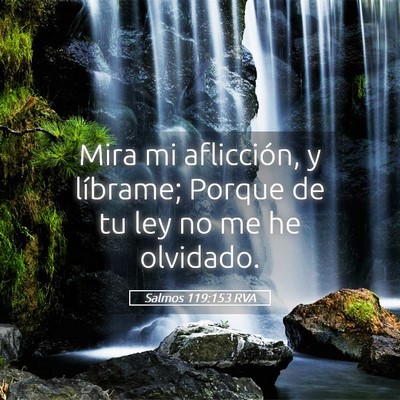 Picture 05 - Salmos 119:153 RVA - Mira mi aflicción, y líbrame; Porque de tu ley - Bible Verse Picture