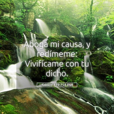 Picture 05 - Salmos 119:154 RVA - Aboga mi causa, y redímeme: Vivifícame con tu - Bible Verse Picture