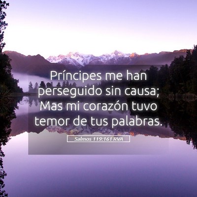 Picture 05 - Salmos 119:161 RVA - Príncipes me han perseguido sin causa; Mas mi - Bible Verse Picture