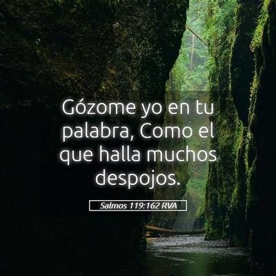 Picture 05 - Salmos 119:162 RVA - Gózome yo en tu palabra, Como el que halla - Bible Verse Picture