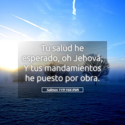 Picture 05 - Salmos 119:166 RVA - Tu salud he esperado, oh Jehová; Y tus - Bible Verse Picture