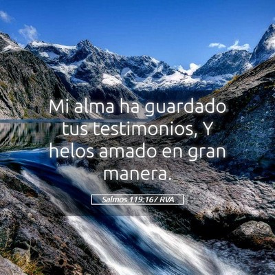 Picture 05 - Salmos 119:167 RVA - Mi alma ha guardado tus testimonios, Y helos - Bible Verse Picture
