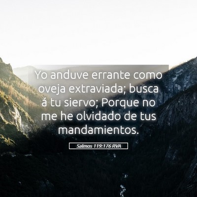 Picture 05 - Salmos 119:176 RVA - Yo anduve errante como oveja extraviada; busca á - Bible Verse Picture