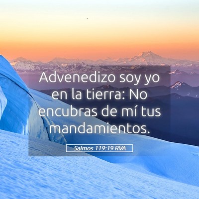 Picture 05 - Salmos 119:19 RVA - Advenedizo soy yo en la tierra: No encubras de - Bible Verse Picture