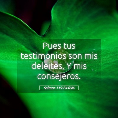 Picture 05 - Salmos 119:24 RVA - Pues tus testimonios son mis deleites, Y mis - Bible Verse Picture