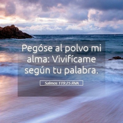 Picture 05 - Salmos 119:25 RVA - Pegóse al polvo mi alma: Vivifícame según tu - Bible Verse Picture