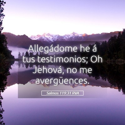 Picture 05 - Salmos 119:31 RVA - Allegádome he á tus testimonios; Oh Jehová, no - Bible Verse Picture