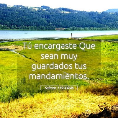 Picture 05 - Salmos 119:4 RVA - Tú encargaste Que sean muy guardados tus - Bible Verse Picture