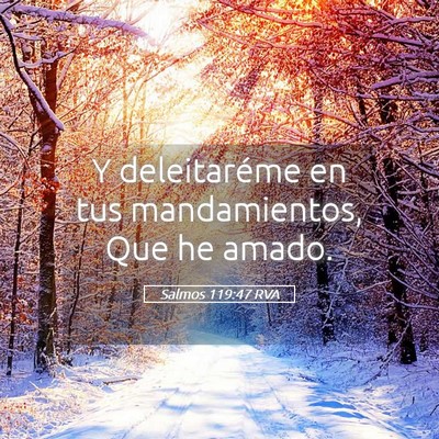 Picture 05 - Salmos 119:47 RVA - Y deleitaréme en tus mandamientos, Que he - Bible Verse Picture
