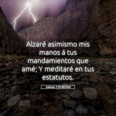 Picture 05 - Salmos 119:48 RVA - Alzaré asimismo mis manos á tus mandamientos - Bible Verse Picture