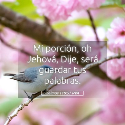 Picture 05 - Salmos 119:57 RVA - Mi porción, oh Jehová, Dije, será guardar tus - Bible Verse Picture
