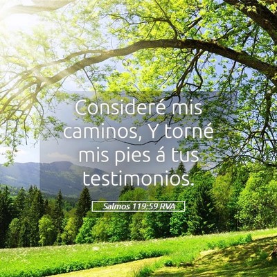 Picture 05 - Salmos 119:59 RVA - Consideré mis caminos, Y torné mis pies á tus - Bible Verse Picture
