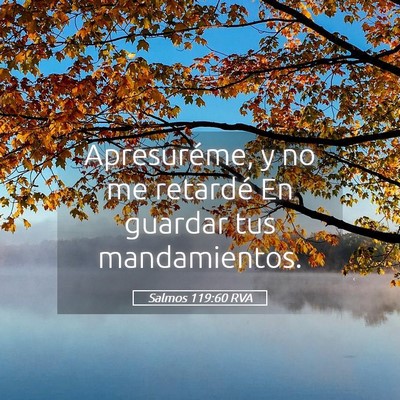 Picture 05 - Salmos 119:60 RVA - Apresuréme, y no me retardé En guardar tus - Bible Verse Picture