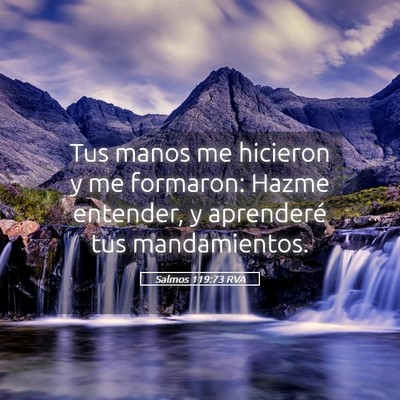 Picture 05 - Salmos 119:73 RVA - Tus manos me hicieron y me formaron: Hazme - Bible Verse Picture