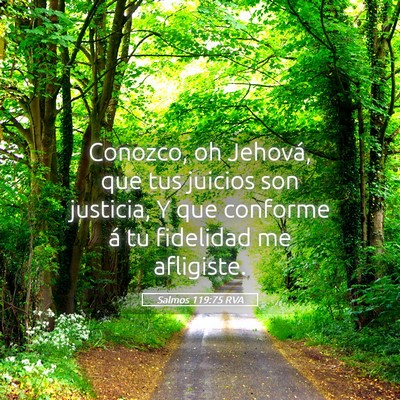Picture 05 - Salmos 119:75 RVA - Conozco, oh Jehová, que tus juicios son - Bible Verse Picture