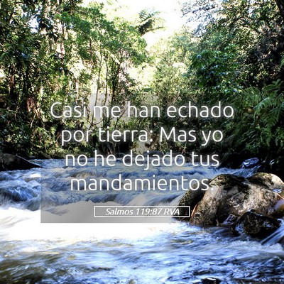 Picture 05 - Salmos 119:87 RVA - Casi me han echado por tierra: Mas yo no he - Bible Verse Picture