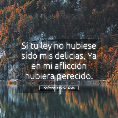 Picture 05 - Salmos 119:92 RVA - Si tu ley no hubiese sido mis delicias, Ya en mi - Bible Verse Picture