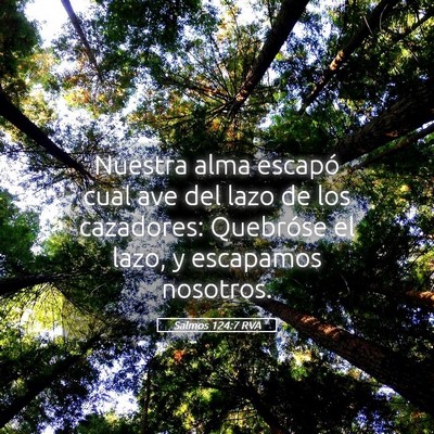 Picture 05 - Salmos 124:7 RVA - Nuestra alma escapó cual ave del lazo de los - Bible Verse Picture