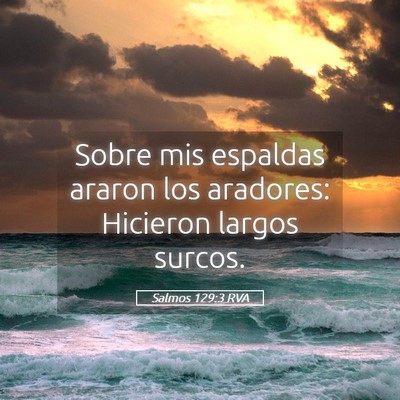Picture 05 - Salmos 129:3 RVA - Sobre mis espaldas araron los aradores: Hicieron - Bible Verse Picture