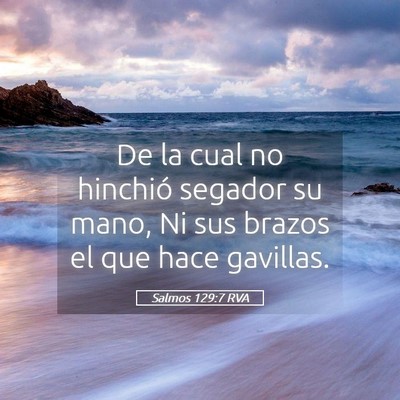 Picture 05 - Salmos 129:7 RVA - De la cual no hinchió segador su mano, Ni sus - Bible Verse Picture