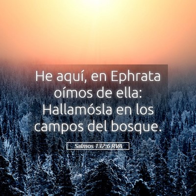 Picture 05 - Salmos 132:6 RVA - He aquí, en Ephrata oímos de ella: Hallamósla - Bible Verse Picture