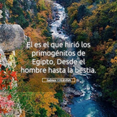 Picture 05 - Salmos 135:8 RVA - El es el que hirió los primogénitos de Egipto, - Bible Verse Picture