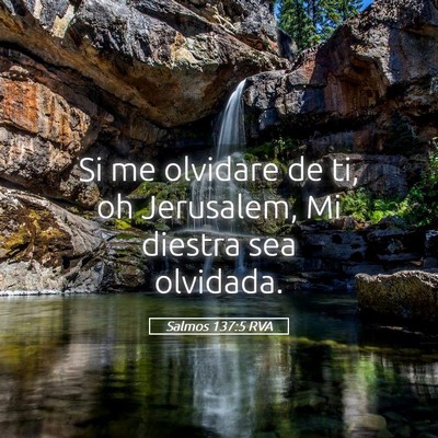 Picture 05 - Salmos 137:5 RVA - Si me olvidare de ti, oh Jerusalem, Mi diestra - Bible Verse Picture