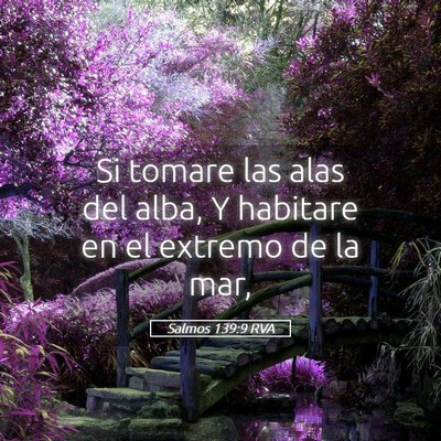 Picture 05 - Salmos 139:9 RVA - Si tomare las alas del alba, Y habitare en el - Bible Verse Picture