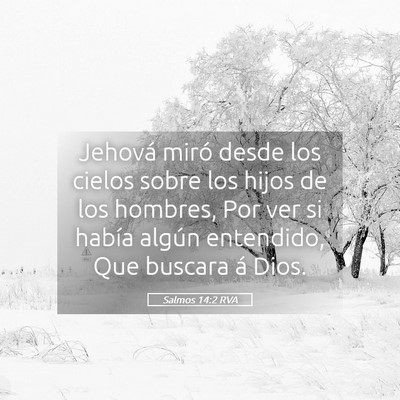 Picture 05 - Salmos 14:2 RVA - Jehová miró desde los cielos sobre los hijos de - Bible Verse Picture