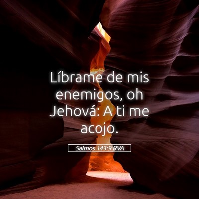 Picture 05 - Salmos 143:9 RVA - Líbrame de mis enemigos, oh Jehová: A ti me - Bible Verse Picture