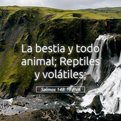 Picture 05 - Salmos 148:10 RVA - La bestia y todo animal; Reptiles y - Bible Verse Picture
