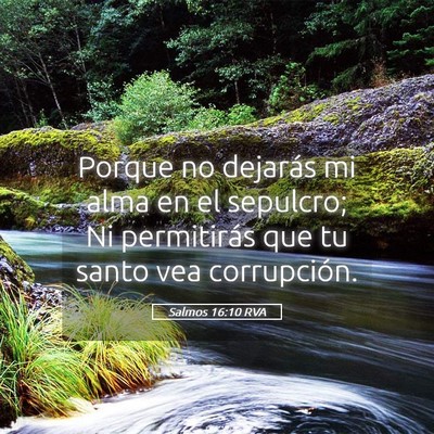 Picture 05 - Salmos 16:10 RVA - Porque no dejarás mi alma en el sepulcro; Ni - Bible Verse Picture
