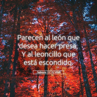 Picture 05 - Salmos 17:12 RVA - Parecen al león que desea hacer presa, Y al - Bible Verse Picture