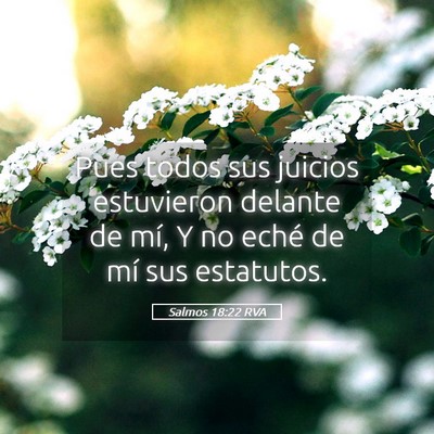 Picture 05 - Salmos 18:22 RVA - Pues todos sus juicios estuvieron delante de mí, - Bible Verse Picture