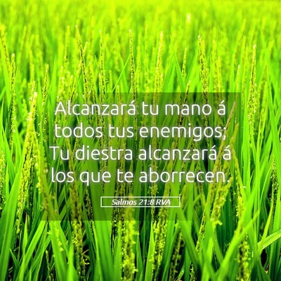 Picture 05 - Salmos 21:8 RVA - Alcanzará tu mano á todos tus enemigos; Tu - Bible Verse Picture