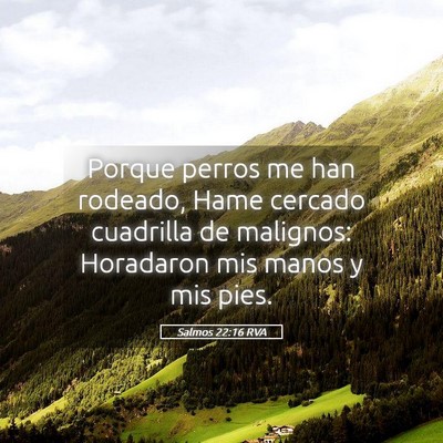 Picture 05 - Salmos 22:16 RVA - Porque perros me han rodeado, Hame cercado - Bible Verse Picture