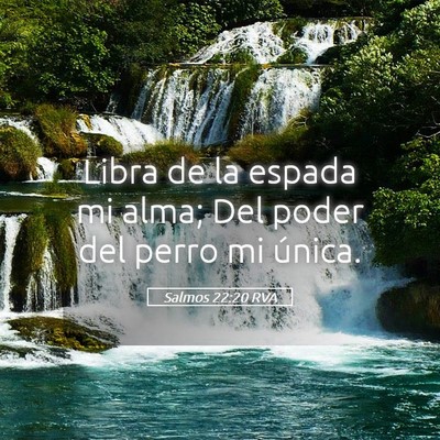 Picture 05 - Salmos 22:20 RVA - Libra de la espada mi alma; Del poder del perro - Bible Verse Picture