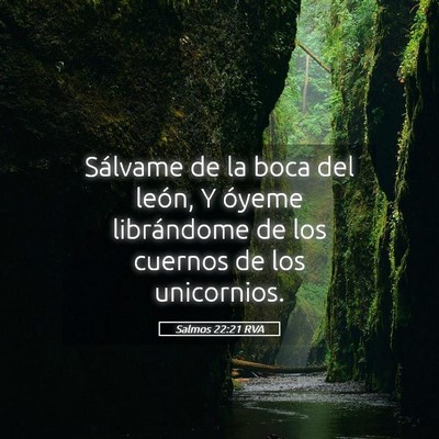 Picture 05 - Salmos 22:21 RVA - Sálvame de la boca del león, Y óyeme - Bible Verse Picture