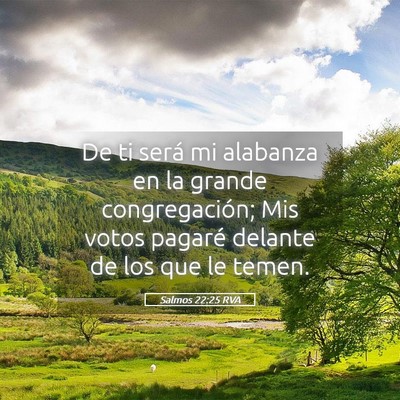 Picture 05 - Salmos 22:25 RVA - De ti será mi alabanza en la grande - Bible Verse Picture