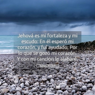 Picture 05 - Salmos 28:7 RVA - Jehová es mi fortaleza y mi escudo: En él - Bible Verse Picture