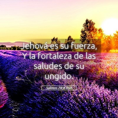 Picture 05 - Salmos 28:8 RVA - Jehová es su fuerza, Y la fortaleza de las - Bible Verse Picture