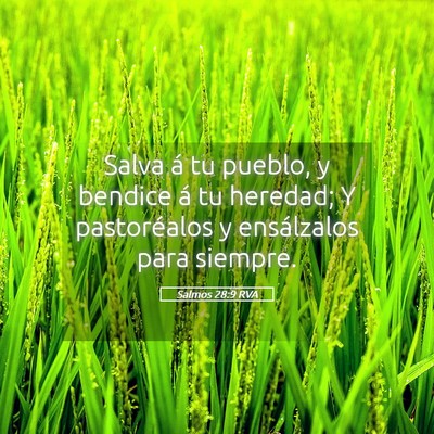 Picture 05 - Salmos 28:9 RVA - Salva á tu pueblo, y bendice á tu heredad; Y - Bible Verse Picture