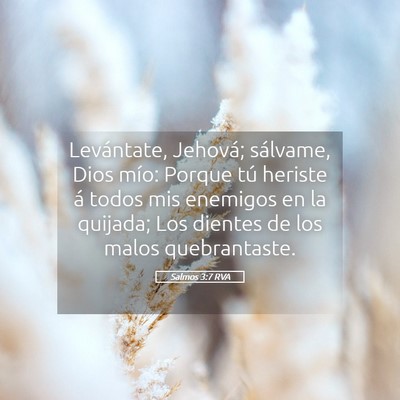 Picture 05 - Salmos 3:7 RVA - Levántate, Jehová; sálvame, Dios mío: Porque - Bible Verse Picture