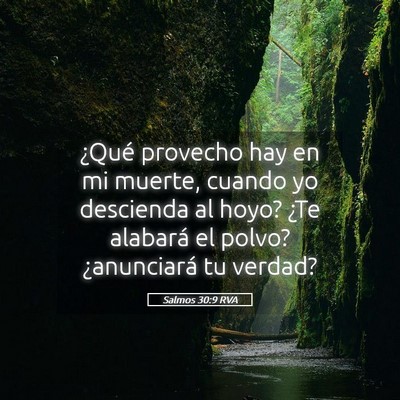 Picture 05 - Salmos 30:9 RVA - ¿Qué provecho hay en mi muerte, cuando yo - Bible Verse Picture